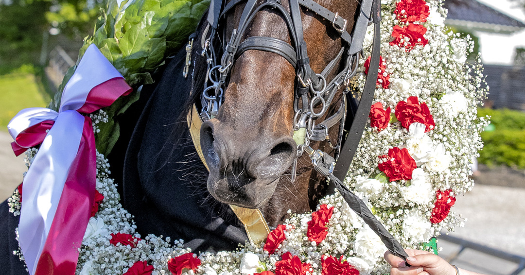 Copenhagen Cup 2024 Updates